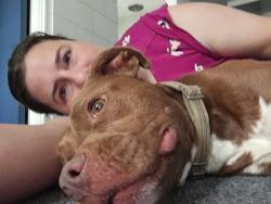 Reunited Female Dog last seen Near Bricker Road, Greenwood, MI 48006, Greenwood Township, MI 48006