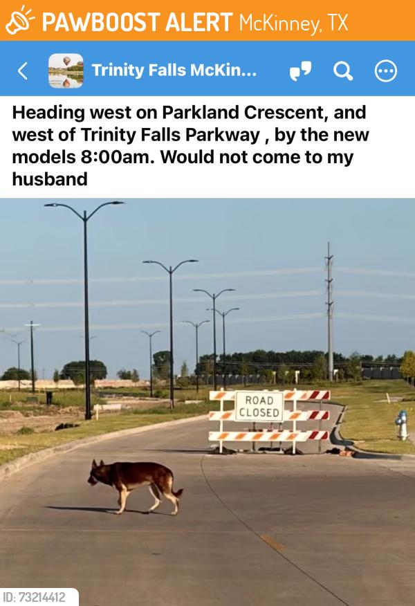 Found/Stray Unknown Dog last seen Parkland Crescent, Trinity Falls, McKinney, TX 75071