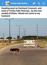 Found/Stray Unknown Dog last seen Parkland Crescent, Trinity Falls, McKinney, TX 75071