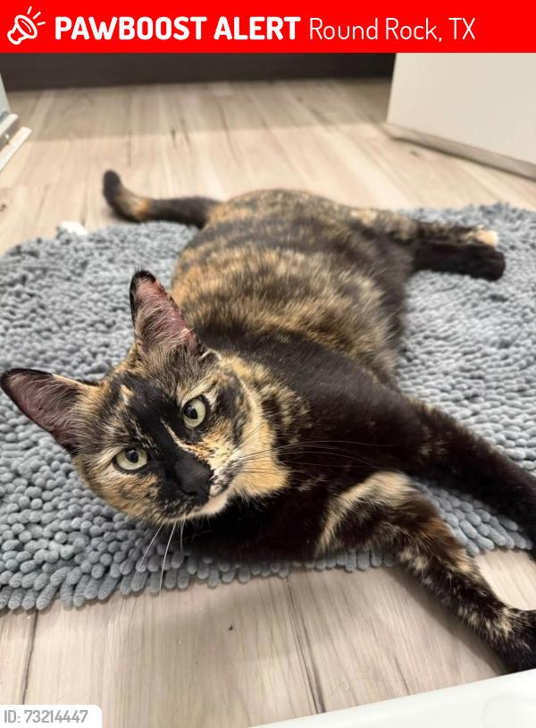 Lost Female Cat last seen W Pflugerville pkwy, Round Rock, TX 78664