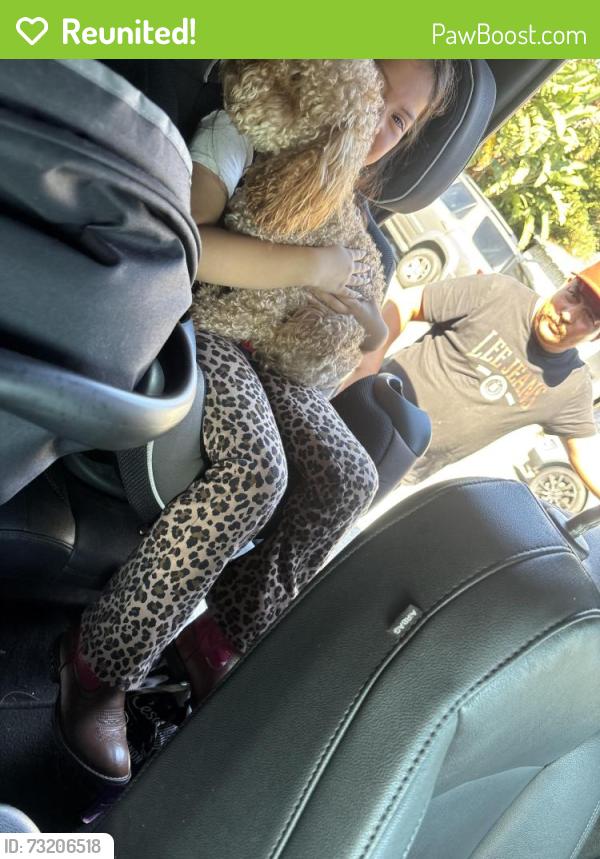 Reunited Male Dog last seen Oxnard, Oxnard, CA 93030