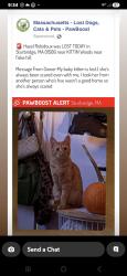 Lost Female Cat last seen Near fiske hill rd, Sturbridge, MA 01566
