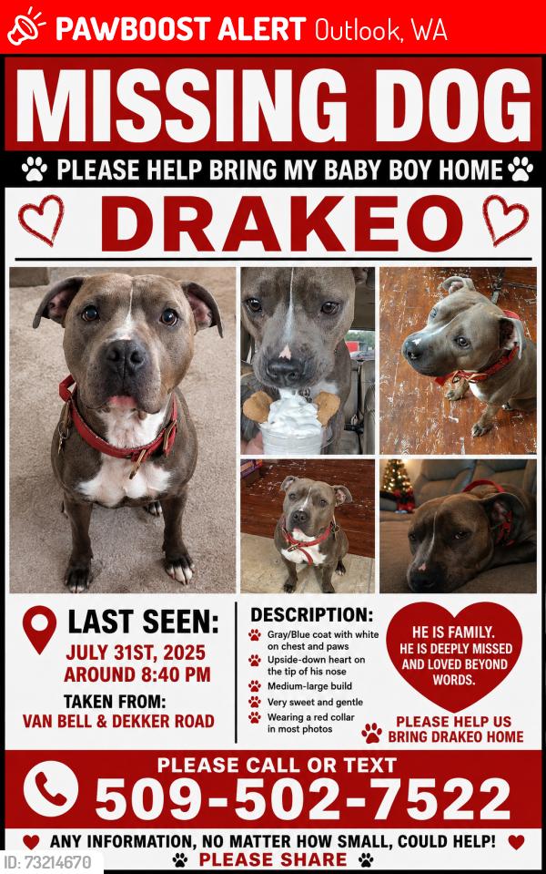 Lost Male Dog last seen On the corner of Van Bell and Dekker rd, Outlook, WA 98938