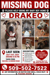 Lost Male Dog last seen On the corner of Van Bell and Dekker rd, Outlook, WA 98938