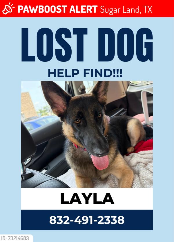 Lost Female Dog last seen Near and Denver Miller Rd, Sugar Land, TX 77498