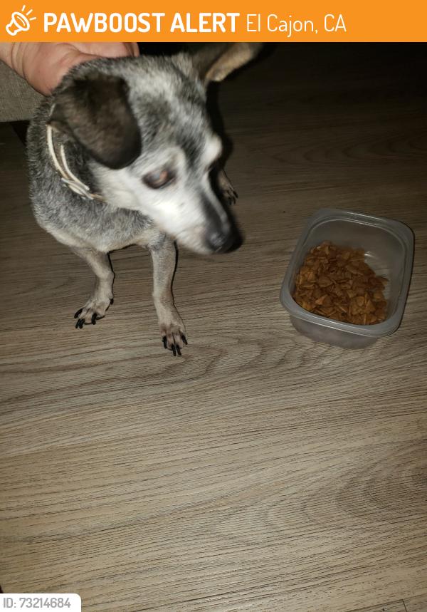 Found/Stray Unknown Dog last seen Olde Highway 80, flinn springs, El Cajon, CA 92021