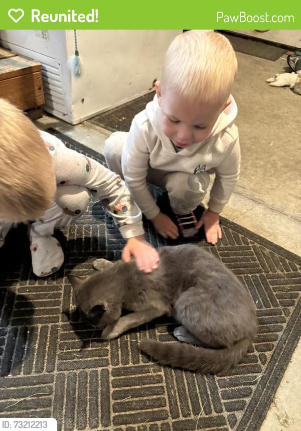 Reunited Female Cat last seen Our hse, Centerburg, OH 43011