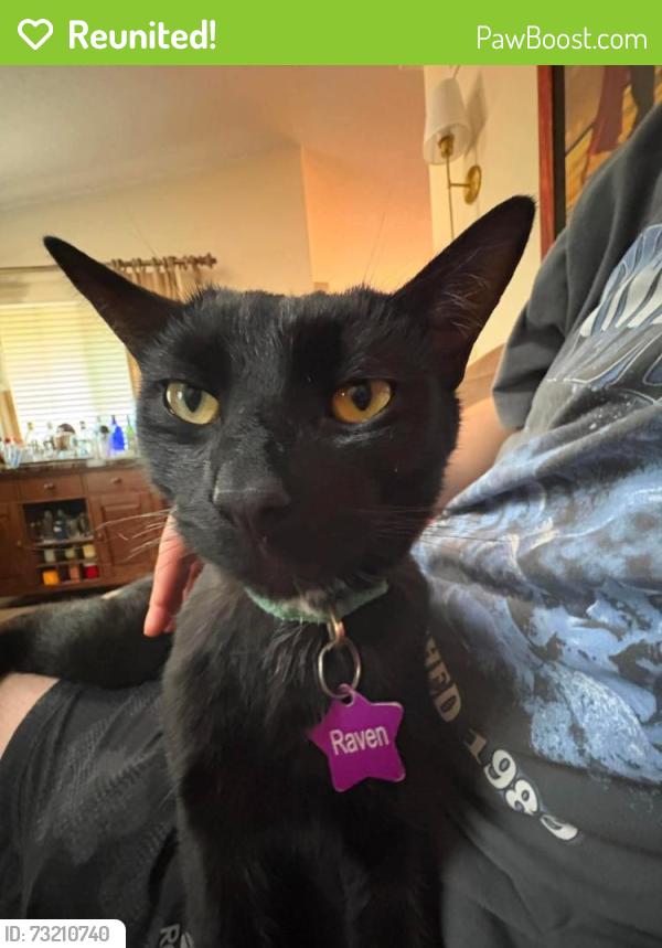 Reunited Male Cat last seen Prescott and Pawnee, Wichita, KS 67209