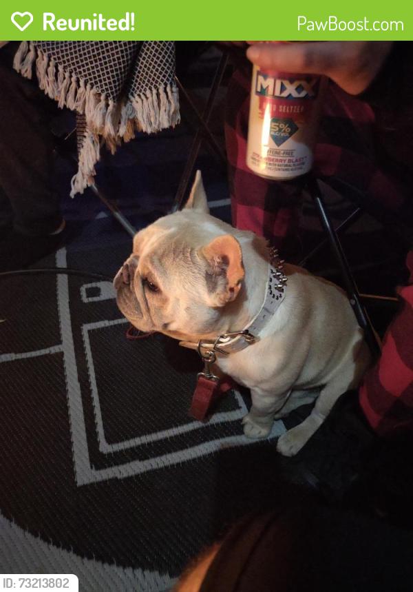 Reunited Male Dog last seen Riverside Ave and Etiwanda, Rialto, CA 92376