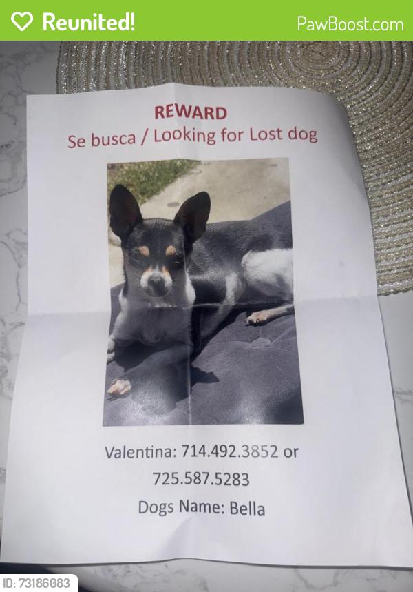Reunited Female Dog last seen Near 207th St Lakewood, CA 90715 Estados Unidos, Lakewood, CA 90715