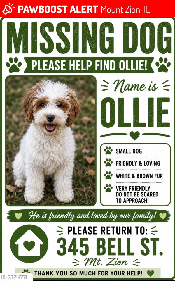 Lost Male Dog last seen Near bell street, Mount Zion, IL 62549