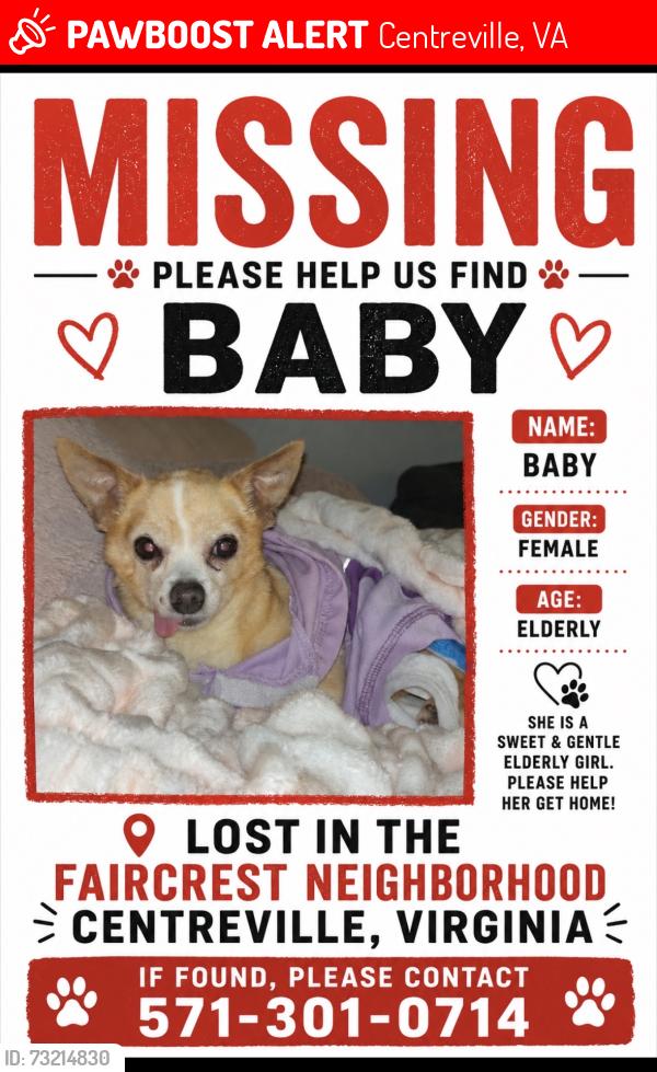 Lost Female Dog last seen Near Lavender mist lane , Centreville, Centreville, VA 20120
