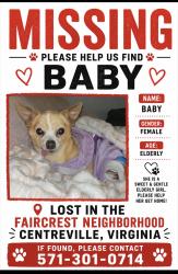 Lost Female Dog last seen Near Lavender mist lane , Centreville, Centreville, VA 20120