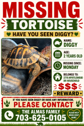 Lost Male Reptile last seen Wings way, Dumfries, VA 22026