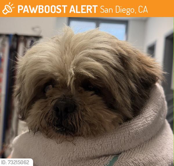 Found/Stray Female Dog last seen Near Cathy Hopper Senior Center, Genesee/Clairemont Mesa, San Diego, CA 92111
