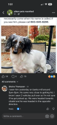 Lost Male Dog last seen Banks Mill, Aiken, SC 29801