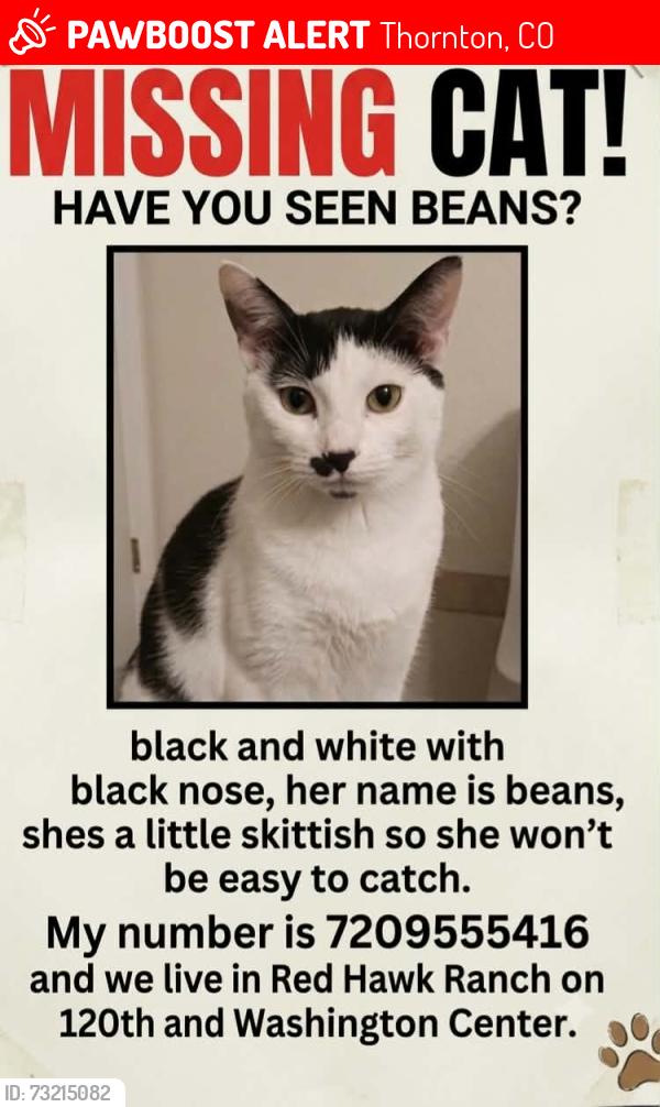 Lost Female Cat last seen 120th and Washington center pkwy, Thornton, CO 80241