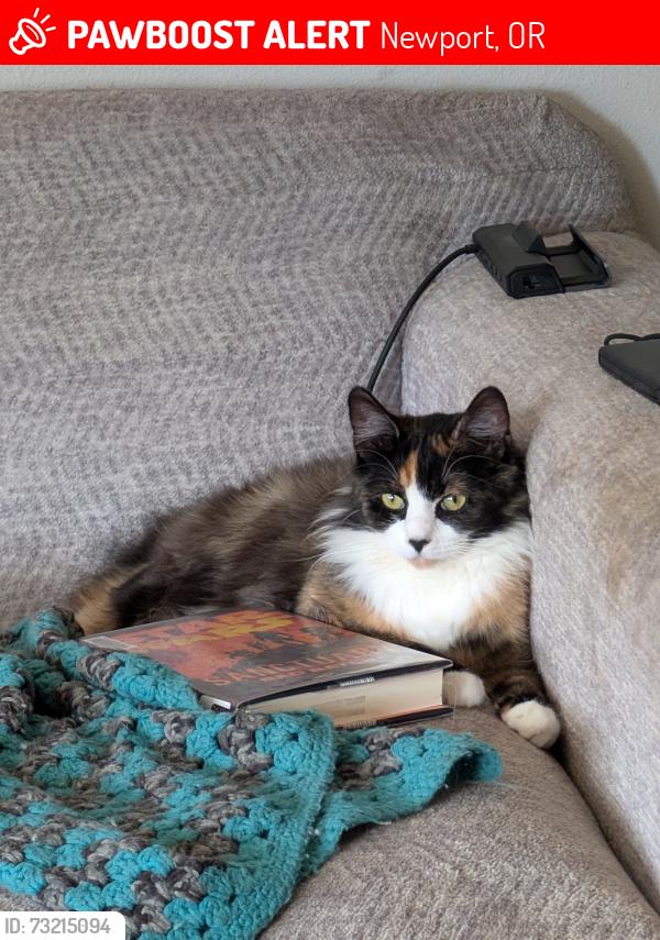 Lost Female Cat last seen Ne 6th and douglas, Newport, OR 97365