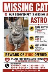 Reunited Male Cat last seen Reed Ave, Akron, OH 44306