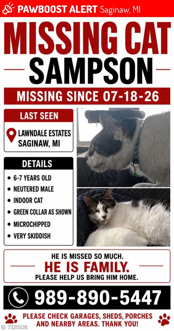 Lost Male Cat last seen Redbrook and Iris, Saginaw, MI 48603