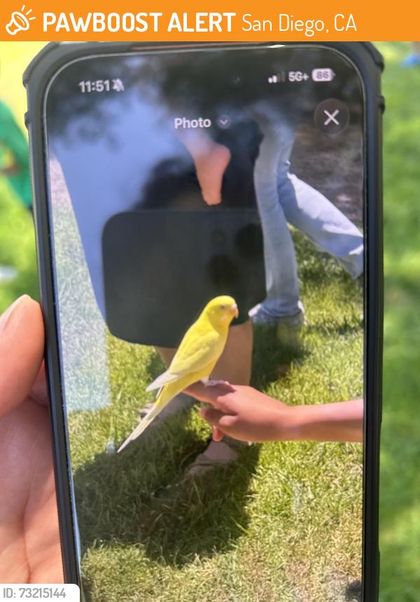 Found/Stray Unknown Bird last seen Ashley park, San Diego, CA 92128