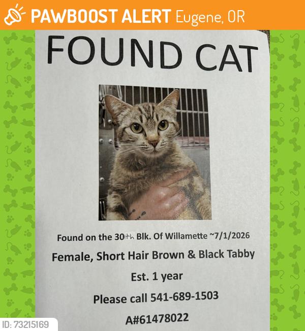 Found/Stray Female Cat last seen Willamette & 30th Ave, Eugene, OR 97405