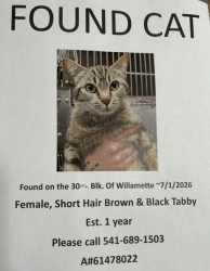Found/Stray Female Cat last seen Willamette & 30th Ave, Eugene, OR 97405