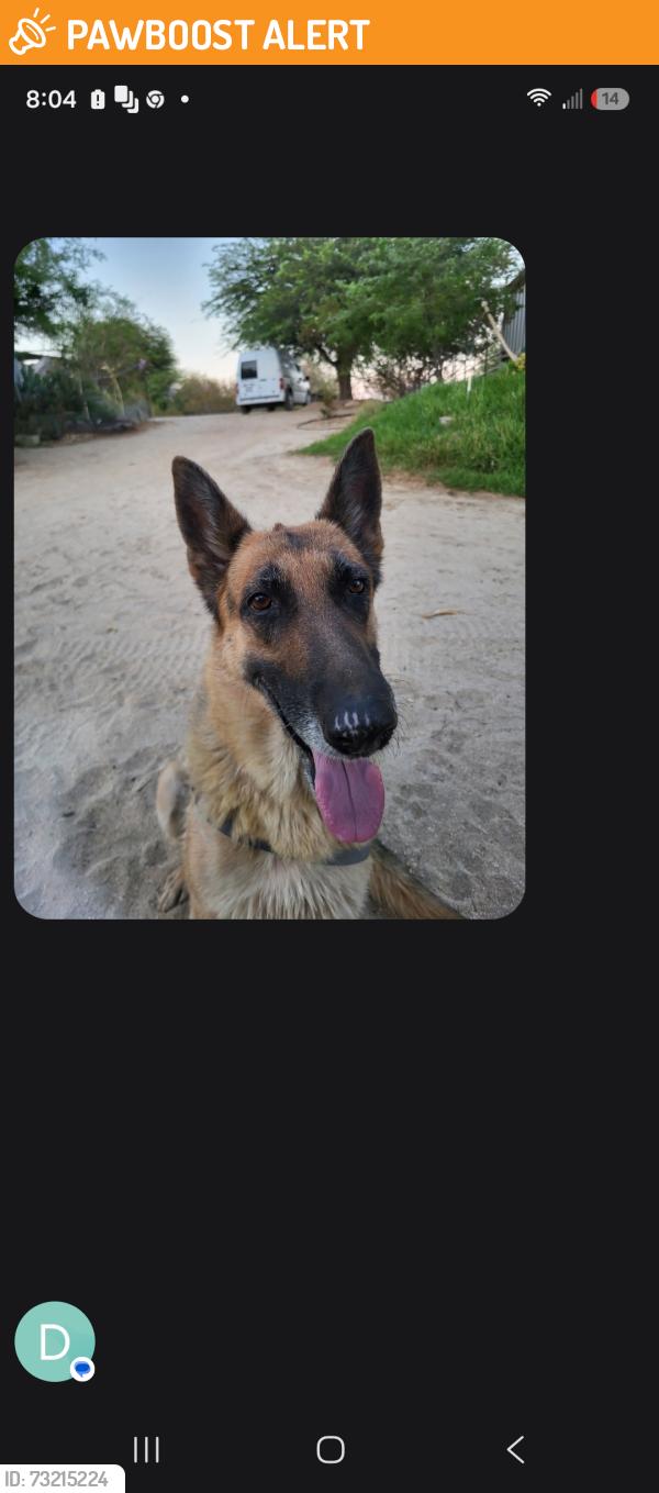 Found/Stray Female Dog last seen 19th and Ford in Sky Valley, Riverside County, CA 92241