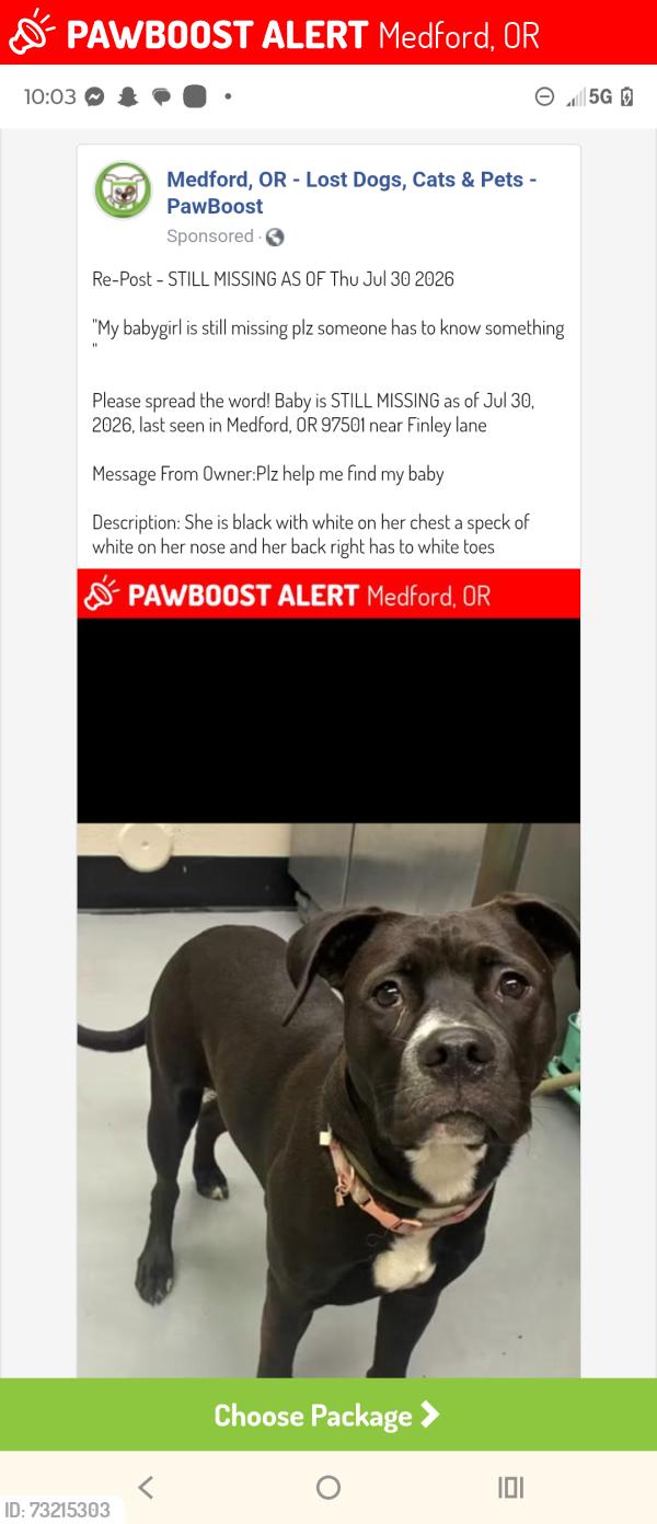 Lost Female Dog last seen Finley ln Medford or, Medford, OR 97501