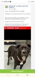 Lost Female Dog last seen Finley ln Medford or, Medford, OR 97501
