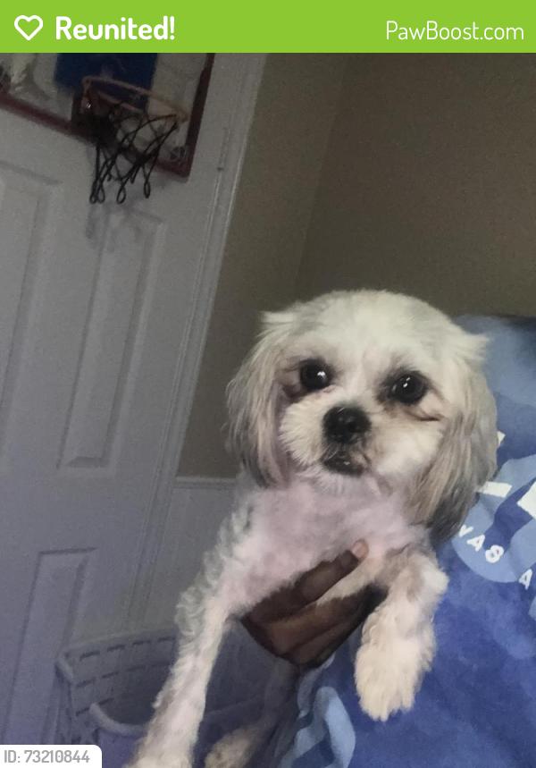Reunited Male Dog last seen Ventura, San Antonio, TX 78244