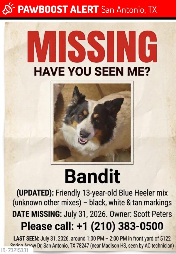 Lost Male Dog last seen O’Connor and Stahl, San Antonio, TX 78247