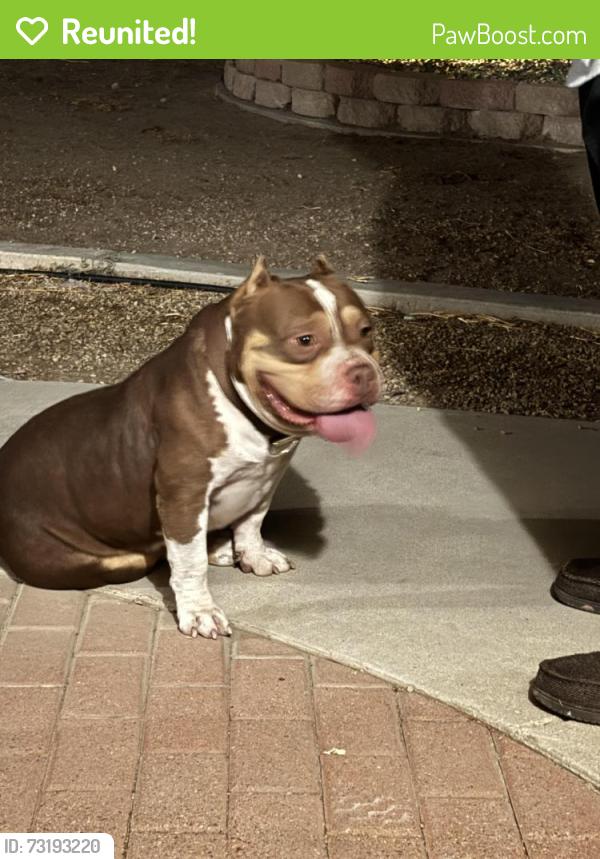 Reunited Male Dog last seen 4th St in South Colton, Colton, CA 92324