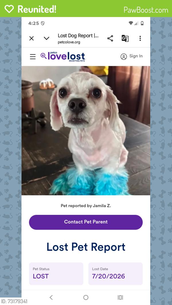 Reunited Male Dog last seen 28th and Villard, Milwaukee, WI 53215