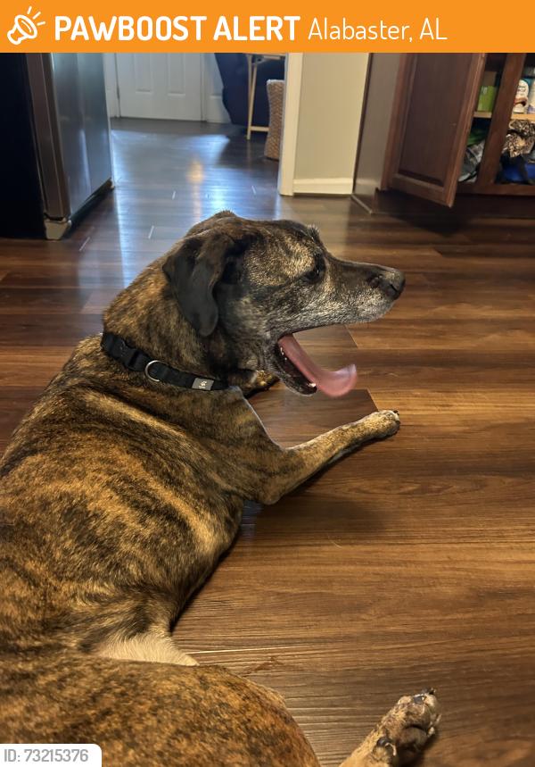 Found/Stray Male Dog last seen Patriot Park alabaster, Alabaster, AL 35007