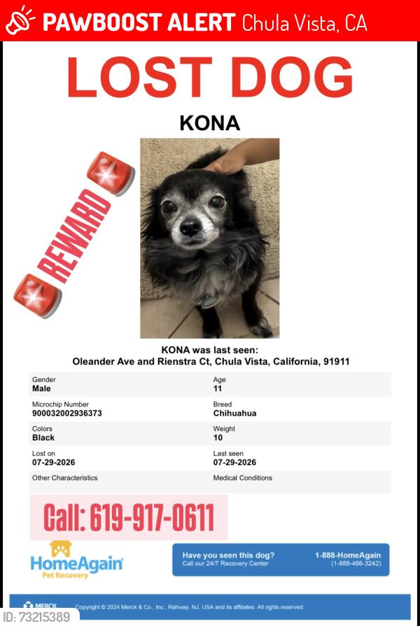 Lost Male Dog last seen Oleander and Rienstra, Chula Vista, CA 91911