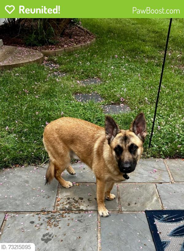 Reunited Unknown Dog last seen Oaklawn Baptist, Winston-Salem, NC 27107