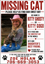 Lost Male Cat last seen Steve tate hwy Dawsonville ga 30534, Marble Hill, GA 30148