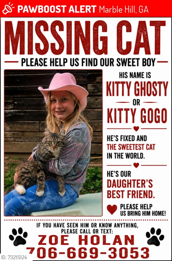 Lost Male Cat last seen Steve tate hwy Dawsonville ga 30534, Marble Hill, GA 30148