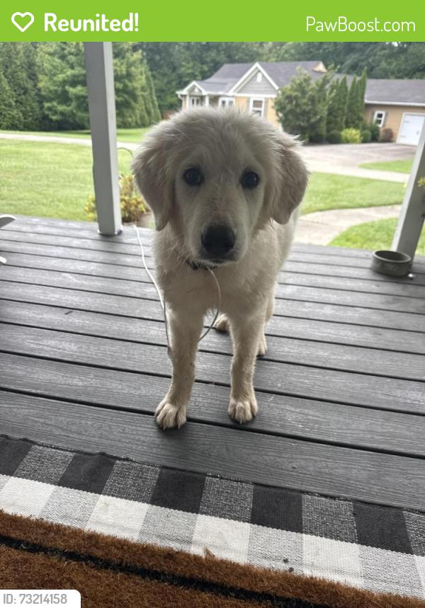 Reunited Unknown Dog last seen East Brainerd Road/Patterson Rd, Chattanooga, TN 37421