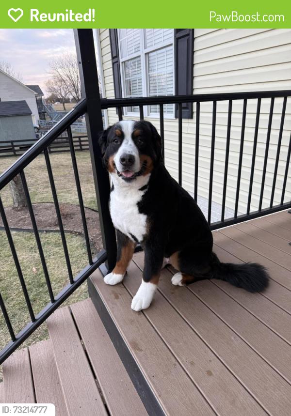Reunited Male Dog last seen May Lane and Hickory Creek Rd Louisa VA 23093, Louisa, VA 23093