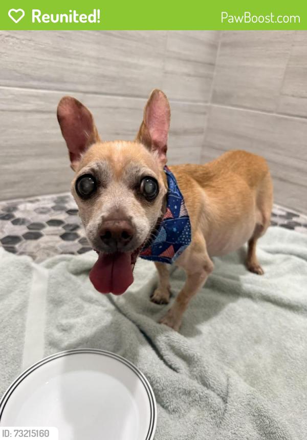 Reunited Male Dog last seen Spencer and Pyle, Enterprise, NV 89183