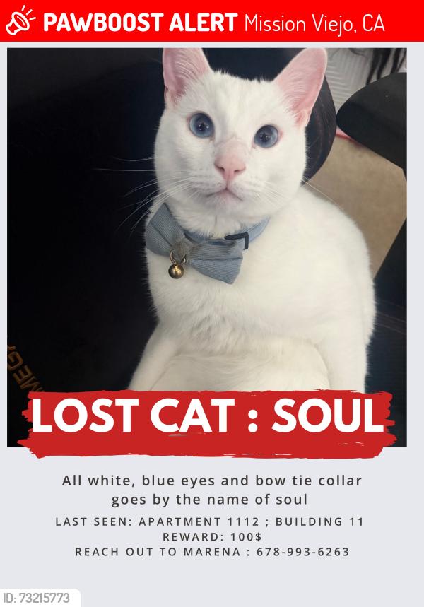 Lost Male Cat last seen Vista real apmt homes, Mission Viejo, CA 92691