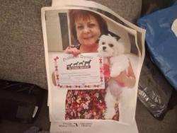 Lost Female Dog last seen Ulmerton, Clearwater, FL 33762