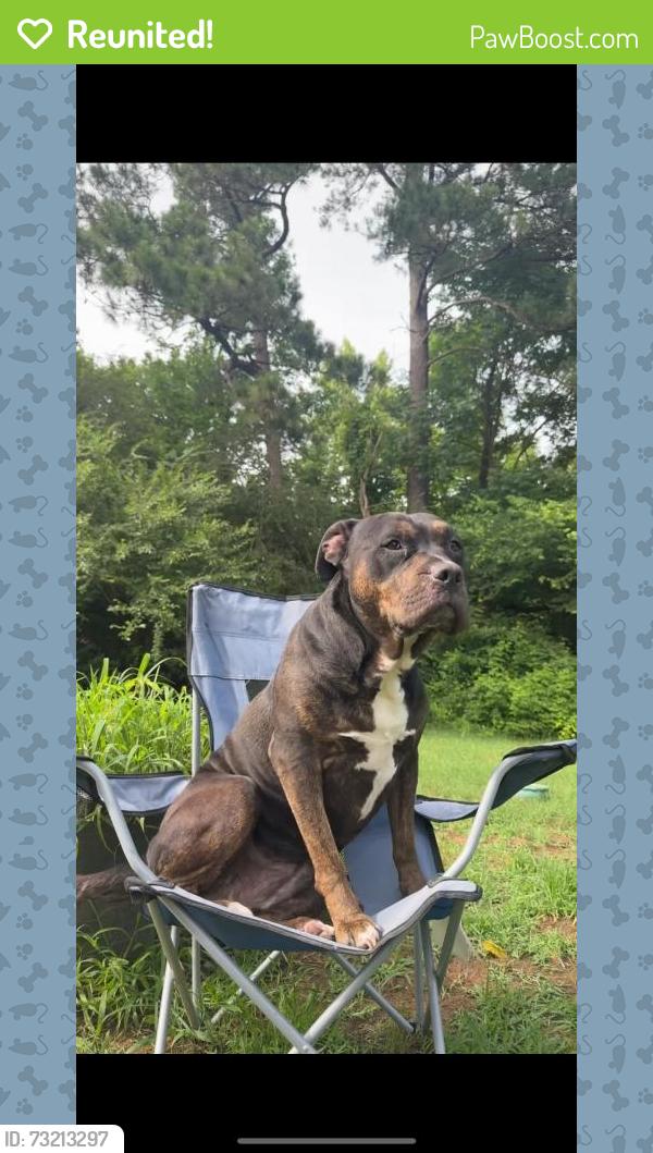 Reunited Female Dog last seen Lake Rd, Tunnel Hill, GA 30755, USA, Tunnel Hill, GA 30755
