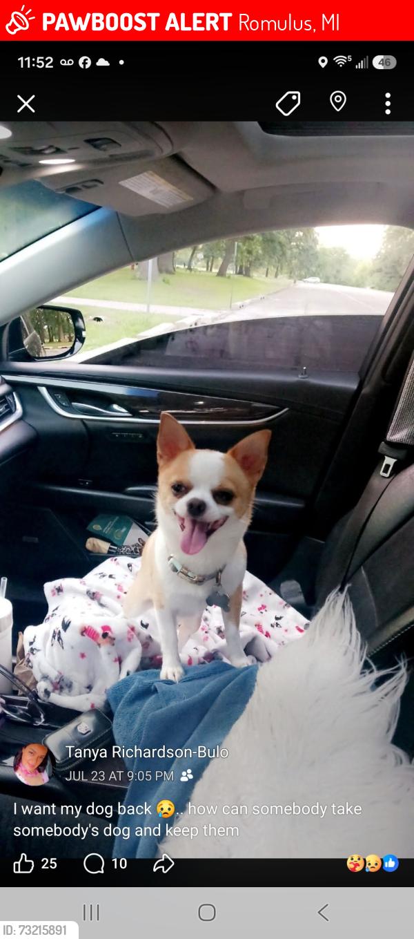 Lost Male Dog last seen Hannan and Escorse Rd. / Cogswell and Van born Rd.'s, Romulus, MI 48174