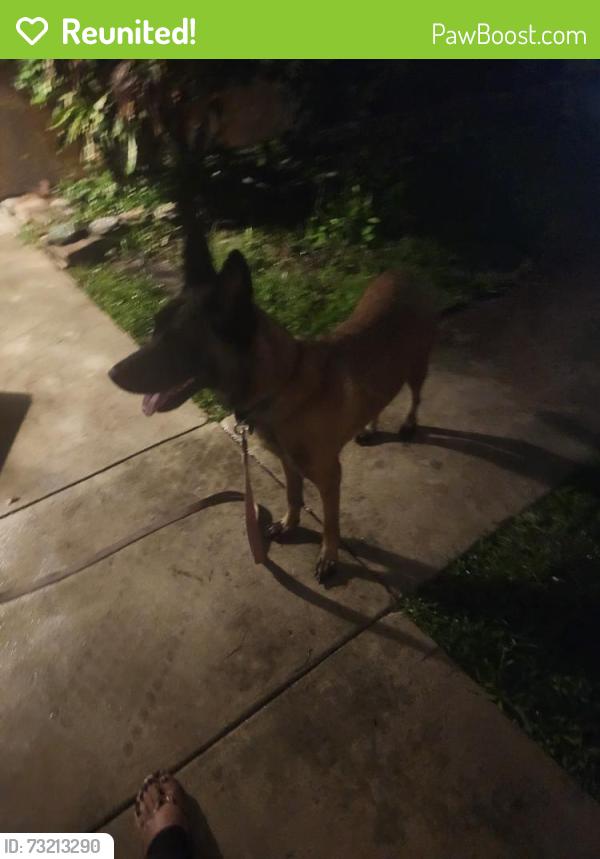Reunited Female Dog last seen Near Park Ave, Lake Park, FL 33403, USA, Lake Park, FL 33403