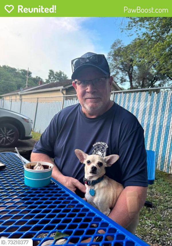 Reunited Male Dog last seen Near the fire station, Fairmont City, IL 62204