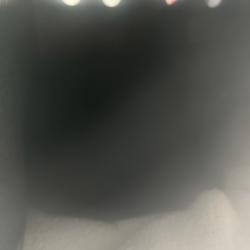 Shelter Stray Female Cat last seen Near W Nautilus Drive, Kearns Township, UT, 84118, 511 W 3900 S, Salt Lake City, UT 84123, USA