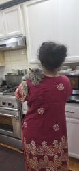 Lost Male Cat last seen Logan Rd & Lawton rd, Lynnwood, WA 98036